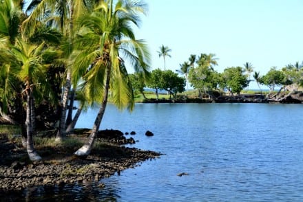 Kalahuipua'a Fishponds are located along the Pacific Ocean and the setting is stunning.
