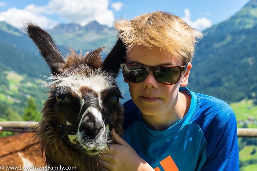 boy and breast family llama trekking in austria