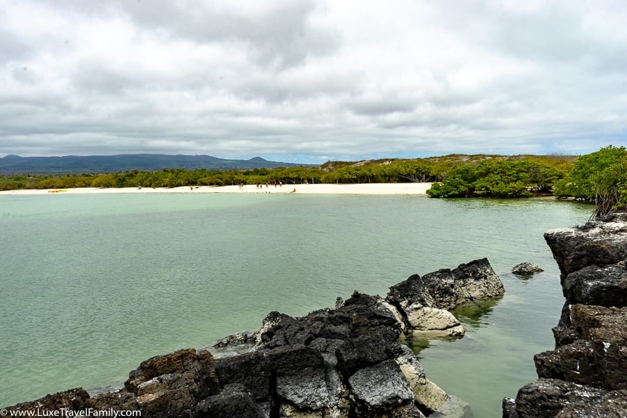 Tortuga-Bay-Pikaia-Lodge-Review-Luxury-land-based-Galapagos
