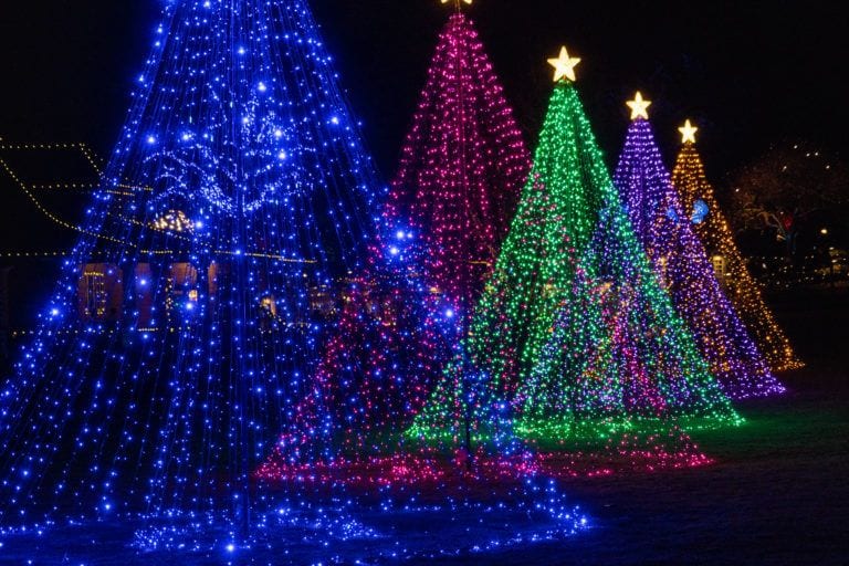 Festive (and Family-Friendly) Things to Do in Victoria, B.C. at Christmas