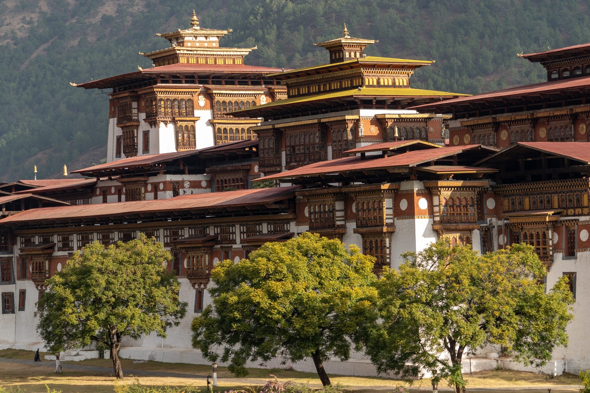 Punakha Dzong things to do in Bhutan with Kids