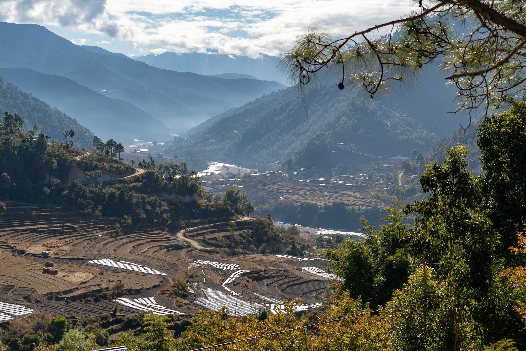 Punakha Valley View things to do in Bhutan with Kids